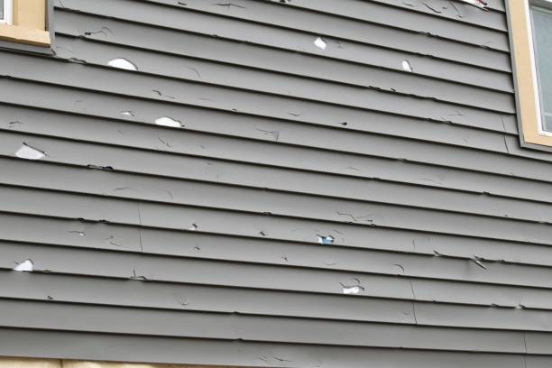 Custom Trim and Detailing for Siding in Clyde Hill, WA